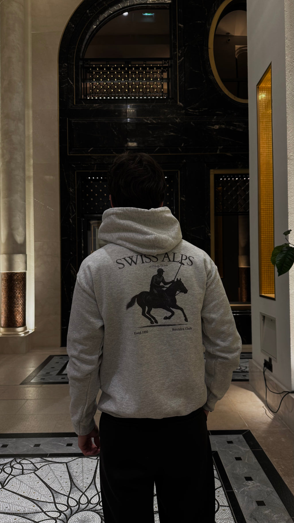 Swiss Alps Hoodie