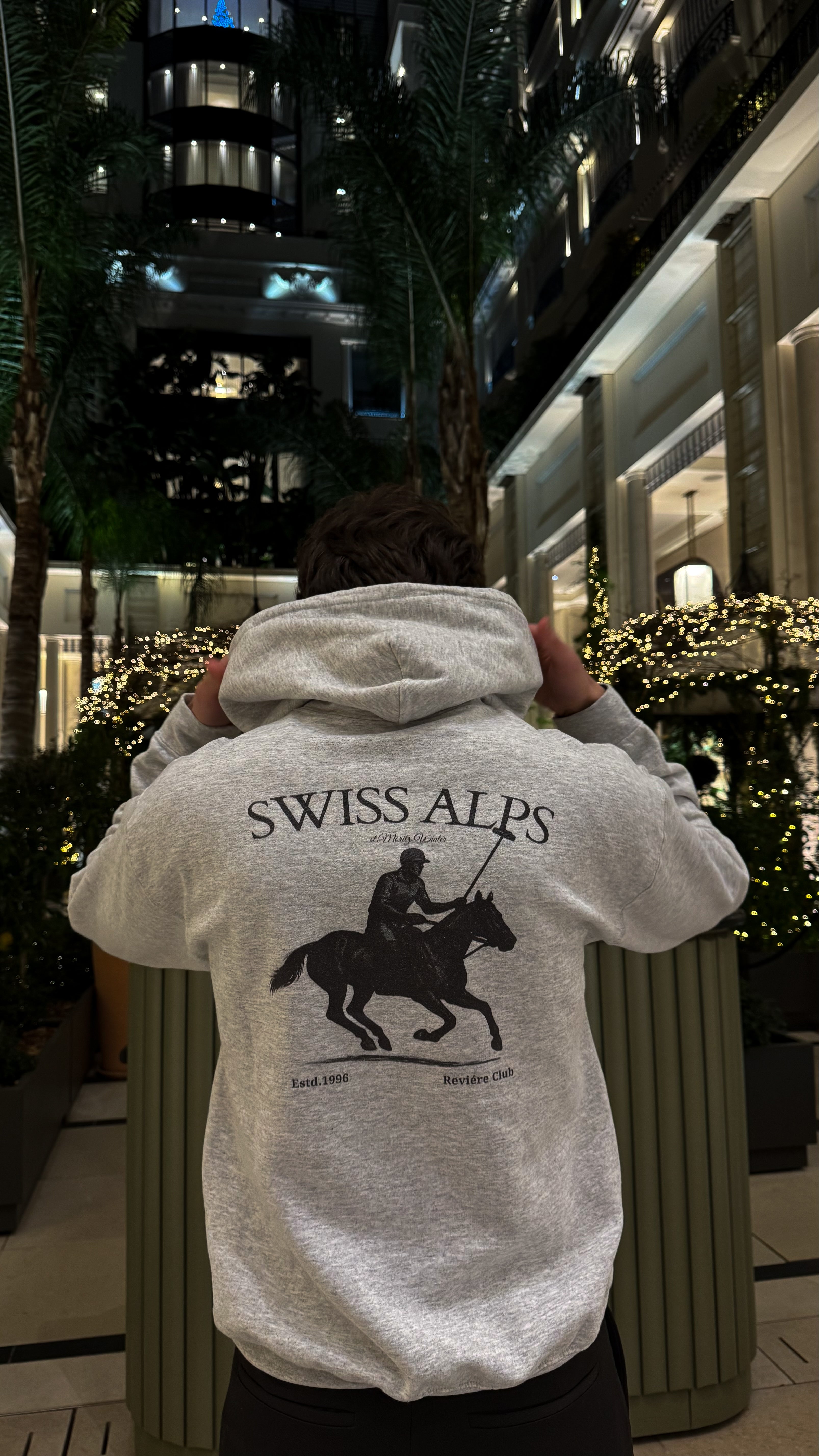 Swiss Alps Hoodie