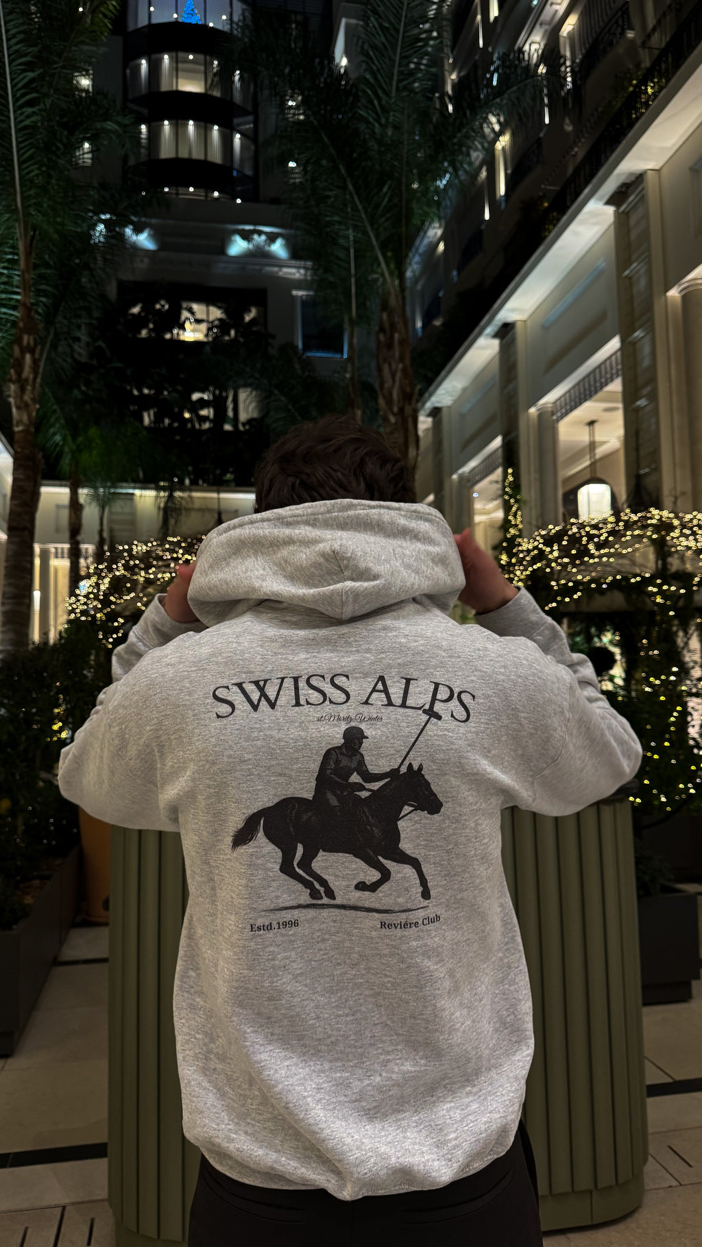 Swiss Alps Hoodie